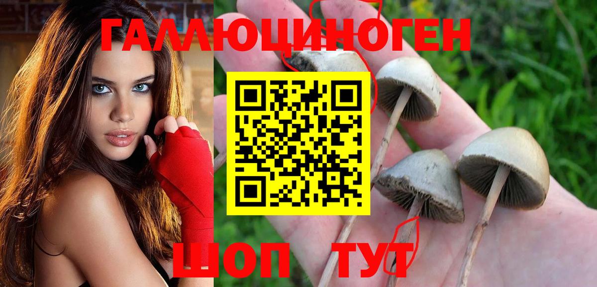 Малоярославец  Галлюциногенные грибы ЛСД  Вход с VPN  Псилоцибиновые грибы MAGIC MUSHROOMS 